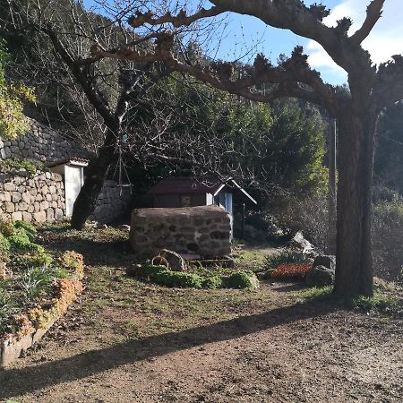 Studio Des Combes Dunières-sur-Eyrieux Zewnętrze zdjęcie